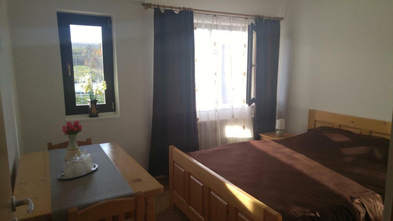 فندق Pensiunea Casa Vanatorului Oteleni المظهر الخارجي الصورة