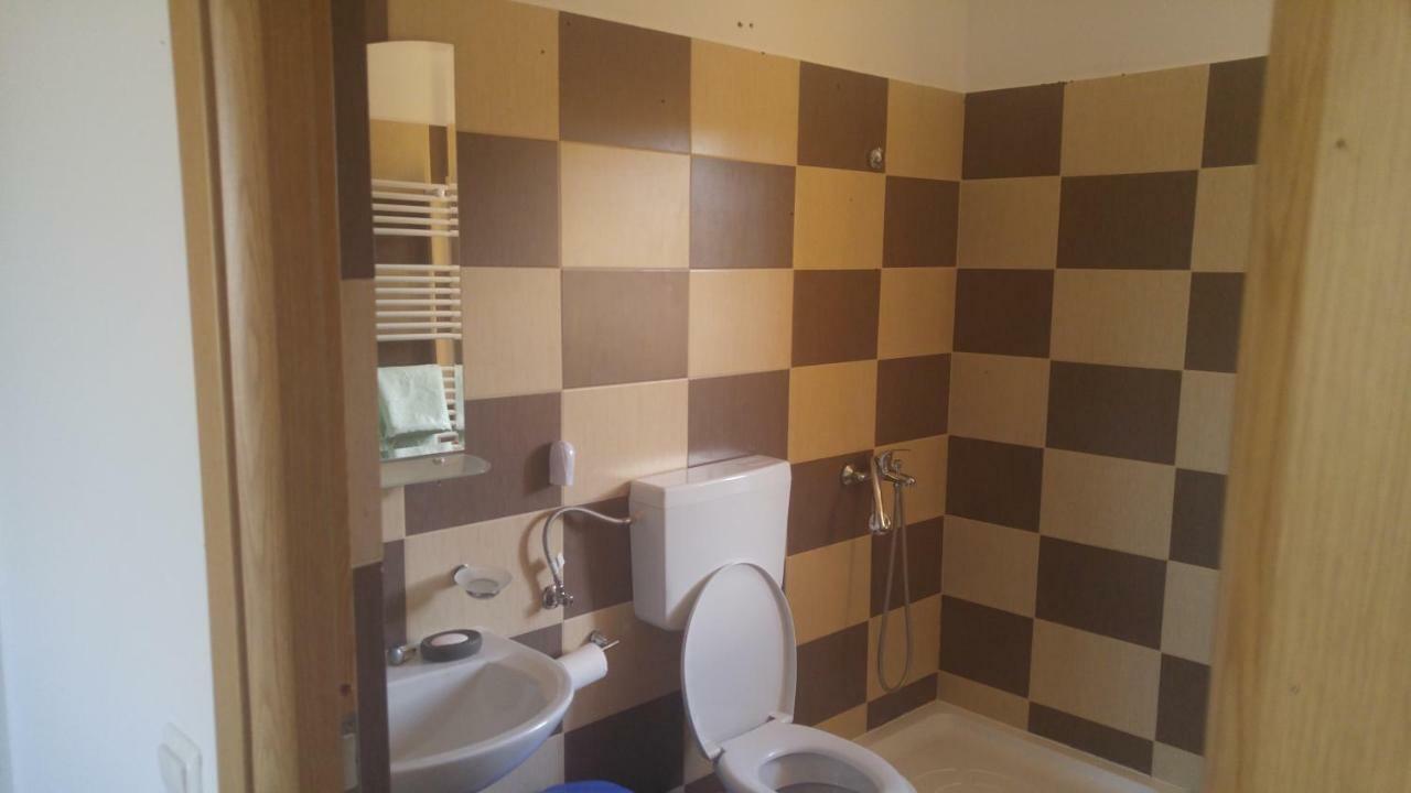 فندق Pensiunea Casa Vanatorului Oteleni المظهر الخارجي الصورة