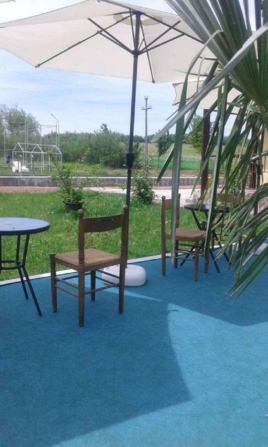 فندق Pensiunea Casa Vanatorului Oteleni المظهر الخارجي الصورة