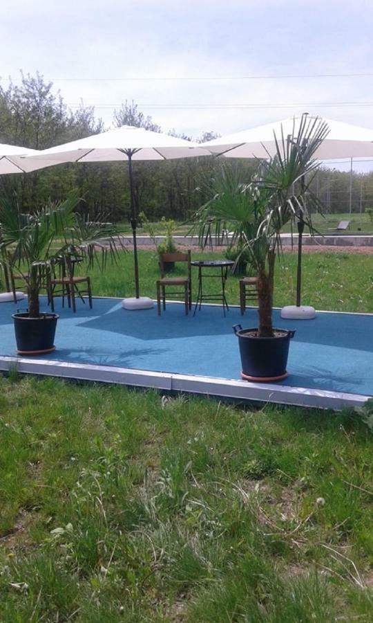 فندق Pensiunea Casa Vanatorului Oteleni المظهر الخارجي الصورة